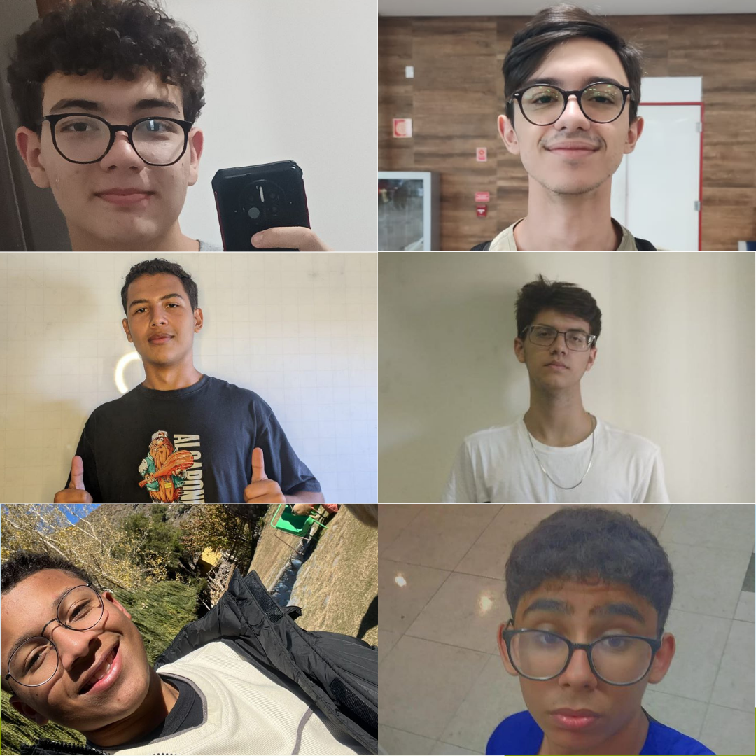equipe los pingüinos de madagascar
