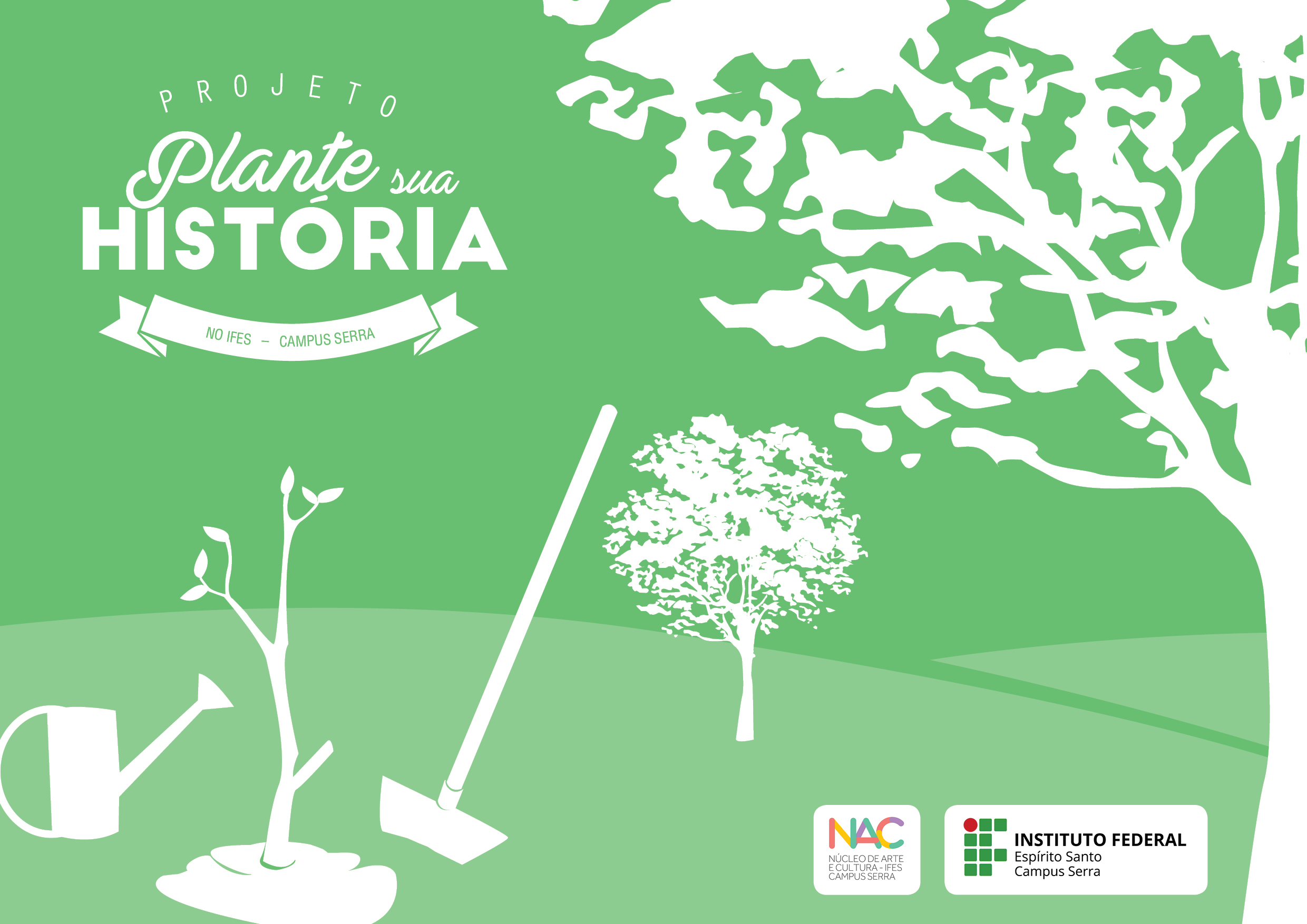 plante sua história